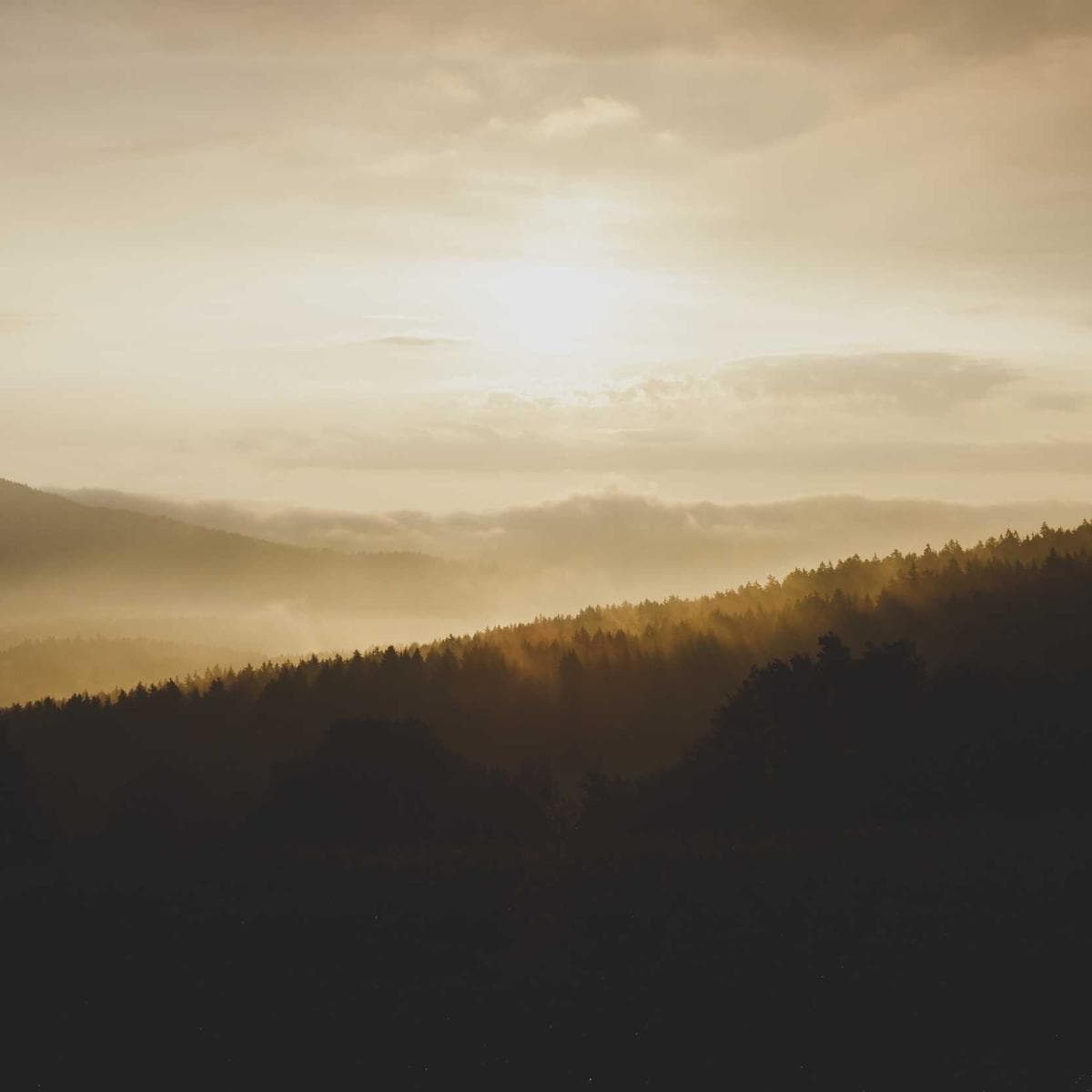 Juno Arch – Soft Machine